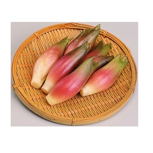 高知産他　みょうが 1パック